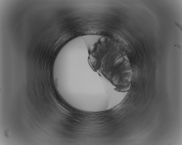 X0000098040166200804251048