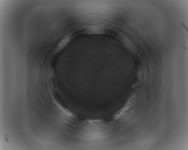 X0000098040168200804251048