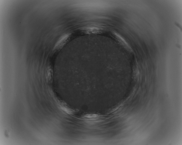 X0000098040169200804251048