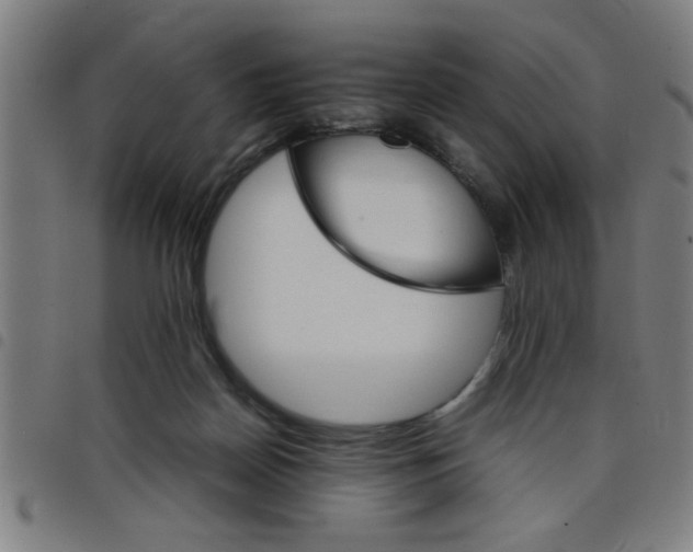 X0000098040170200804251048