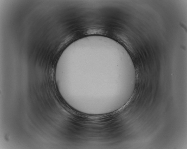 X0000098040171200804251048