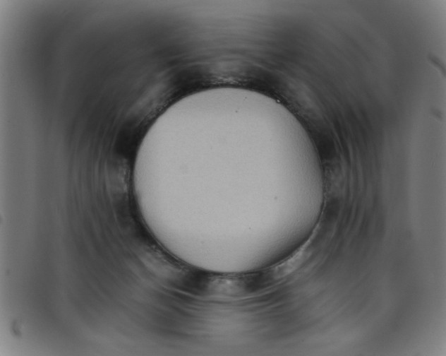 X0000098040174200804251048