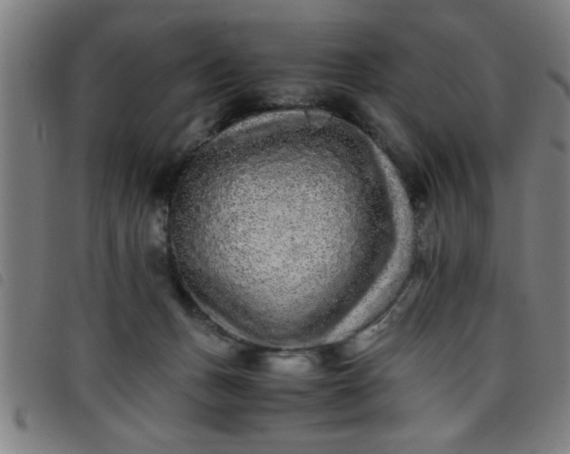 X0000098040175200804251048