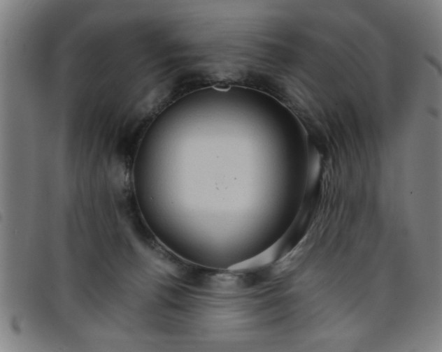 X0000098040176200804251048