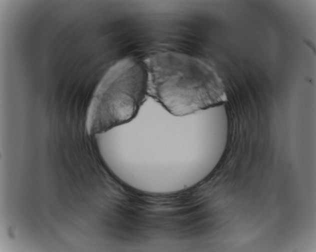 X0000098040177200804251048