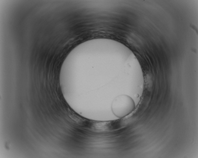 X0000098040178200804251048