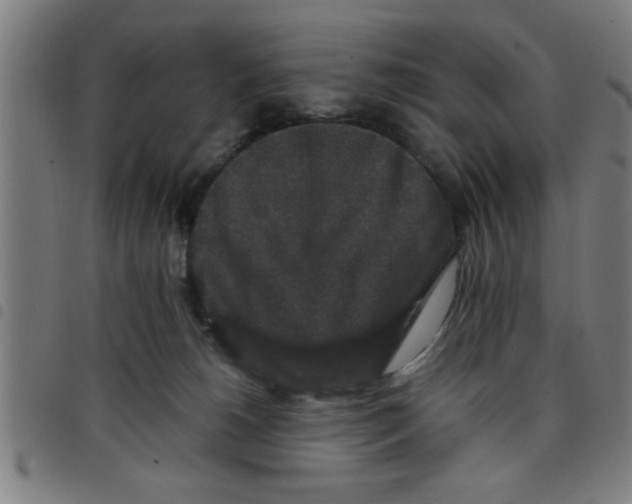 X0000098040180200804251048