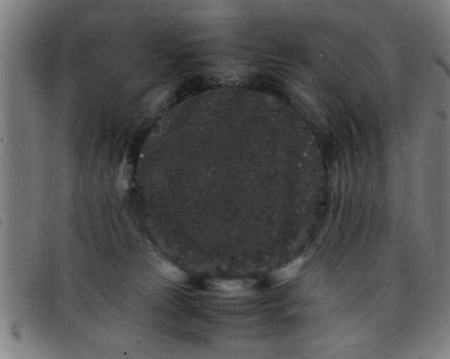 X0000098040181200804251048