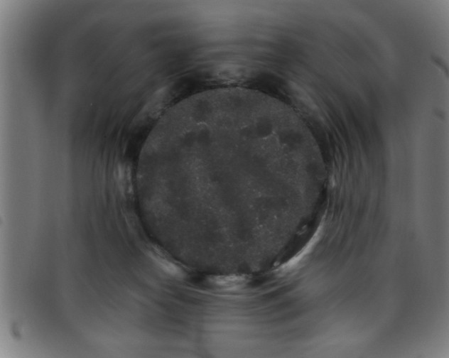 X0000098040182200804251048