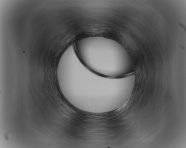 X0000098040184200804251048