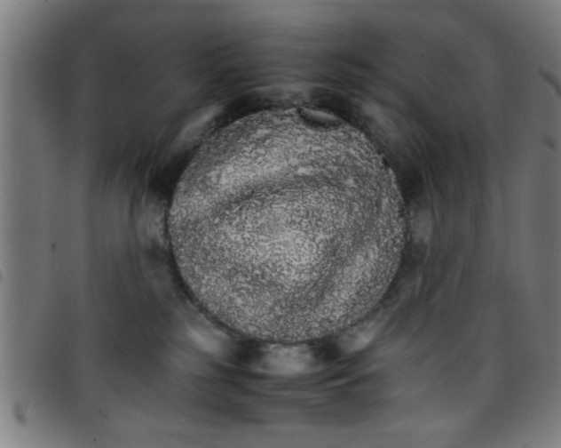 X0000098040185200804251048