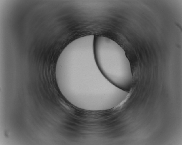 X0000098040186200804251048