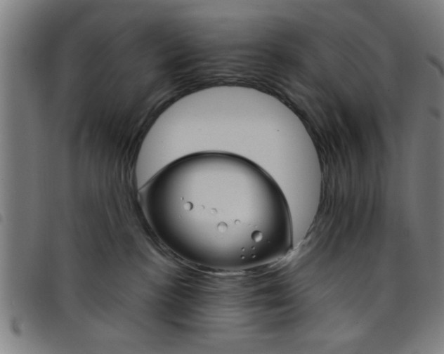 X0000098040188200804251048