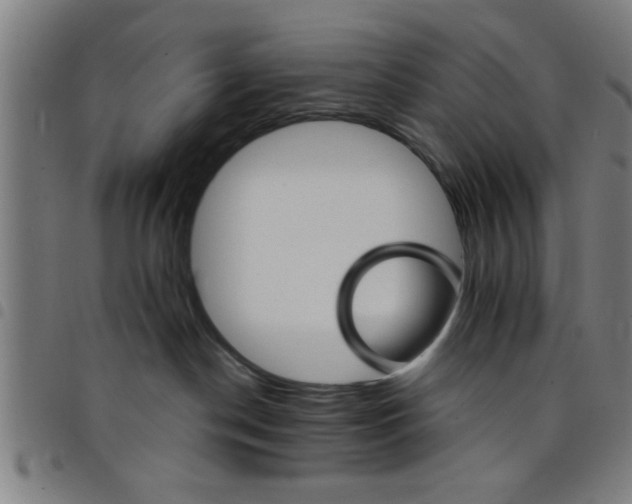 X0000098040190200804251048