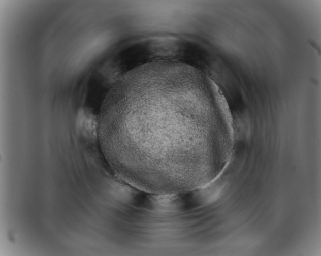 X0000098040191200804251048