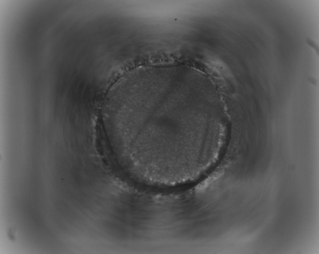 X0000098040192200804251048