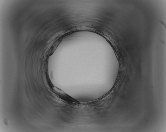 X0000098040193200804251047