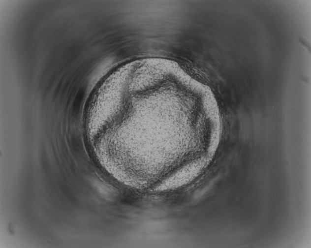 X0000098040195200804251047