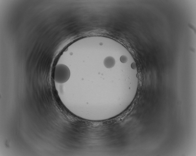 X0000098040196200804251047