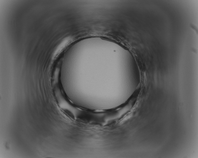 X0000098040197200804251047