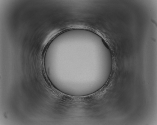 X0000098040199200804251047