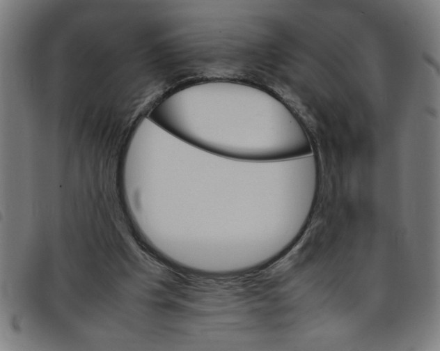 X0000098040201200804251047