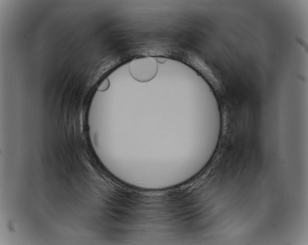 X0000098040202200804251047