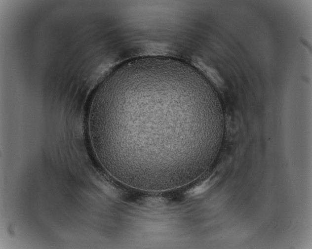 X0000098040203200804251047