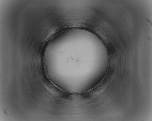 X0000098040207200804251047