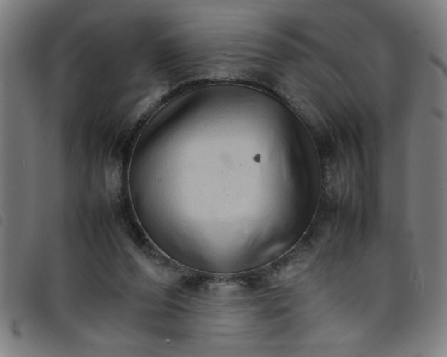 X0000098040208200804251047