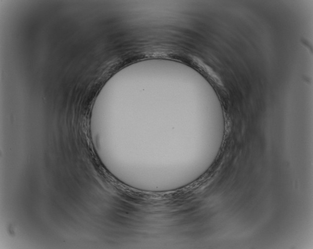 X0000098040209200804251047