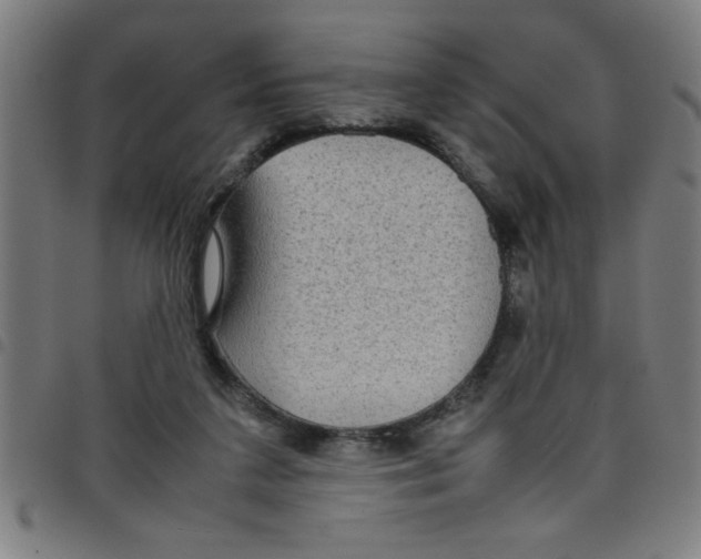 X0000098040211200804251047