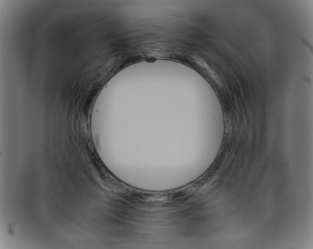 X0000098040213200804251047