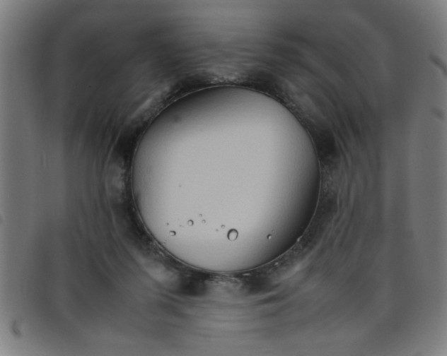 X0000098040215200804251047