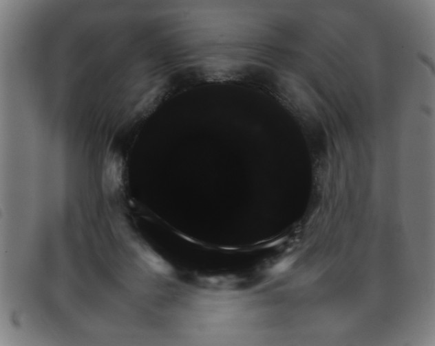 X0000098040219200804251047