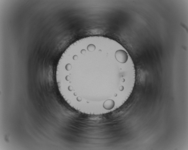 X0000098040220200804251047