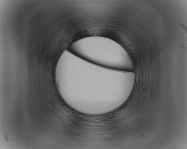 X0000098040221200804251047