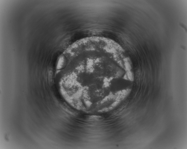 X0000098040222200804251047