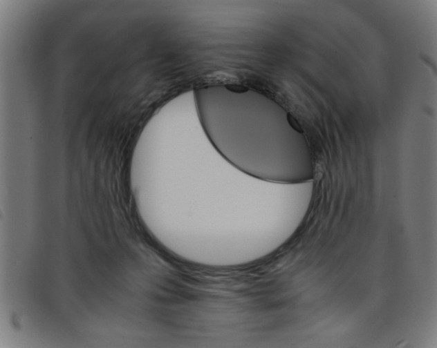 X0000098040223200804251047