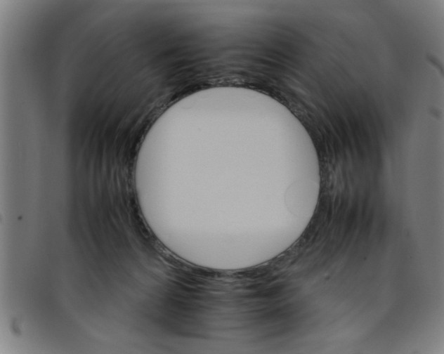 X0000098040224200804251047