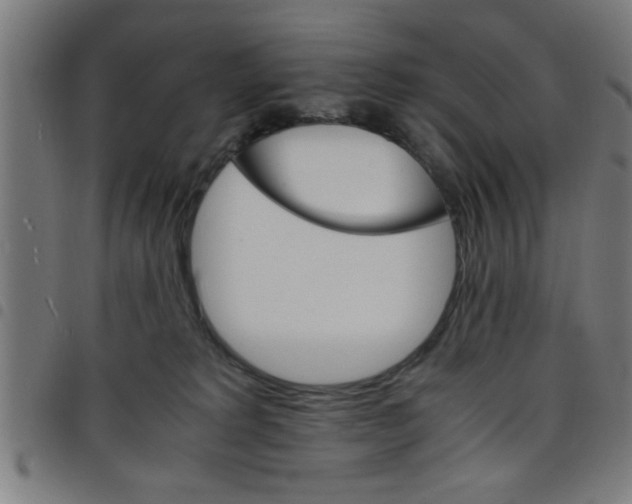 X0000098040229200804251047