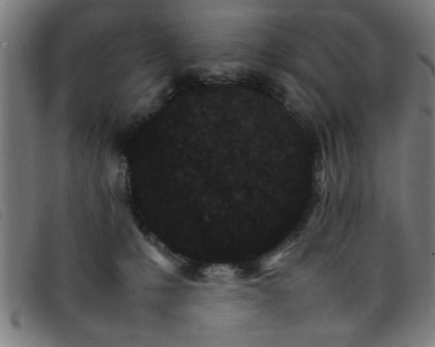 X0000098040231200804251047