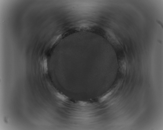 X0000098040232200804251047