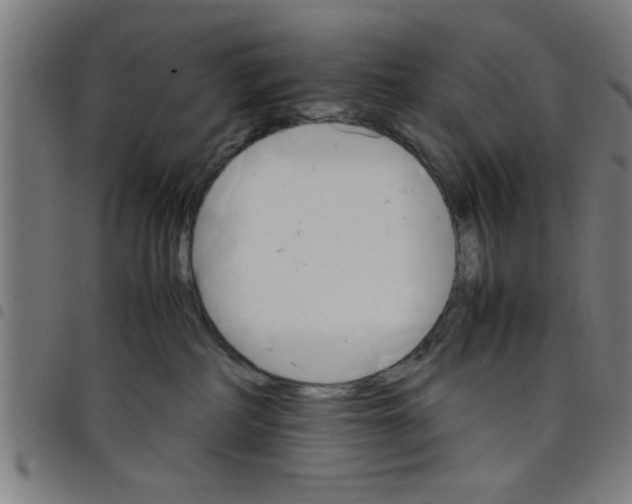 X0000098040234200804251047