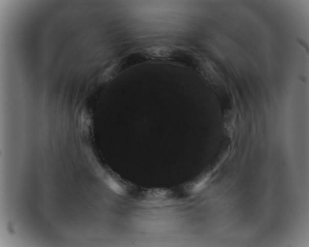 X0000098040235200804251047