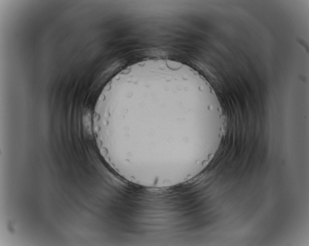 X0000098040238200804251047