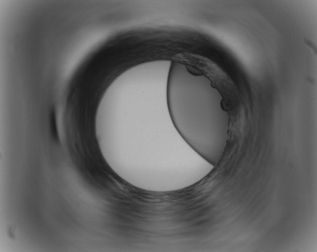 X0000098040239200804251047