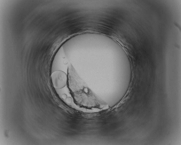 X0000098040241200804251046