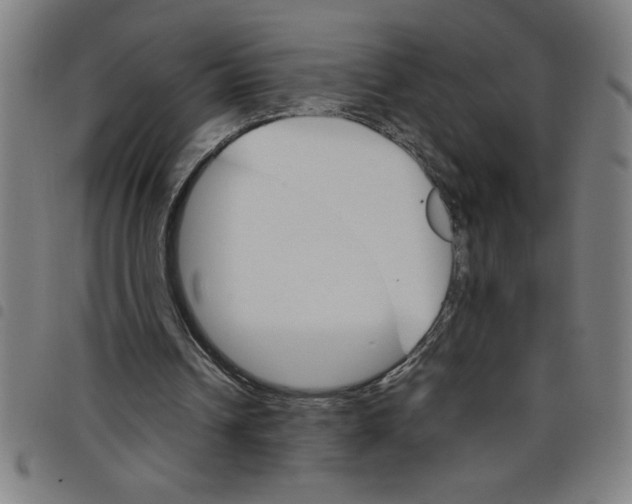 X0000098040242200804251046