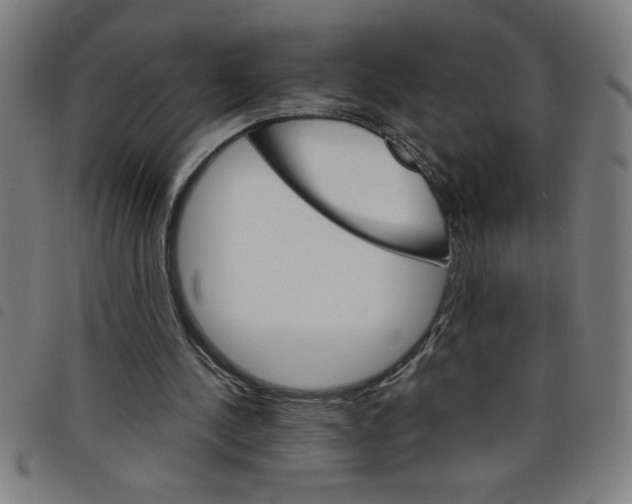 X0000098040244200804251046